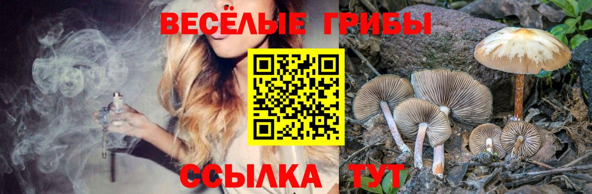 Псилоцибиновые грибы MAGIC MUSHROOMS  Вход с VPN  купить закладку  Владивосток 